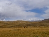 p1030276